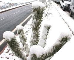 Başkent 2012'ye Kar ile Merhaba Dedi