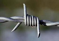 Risale-i Nur Külliyatında terör ve anarşi