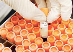 Kök hücre bağışı için gönüllü sayısı artıyor