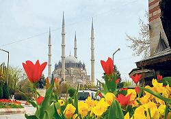 Selimiye Camii'ndeki ters lale motifi korumaya alınacak