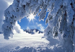 Kışın beyaz sahifesini çevirir baharı açar