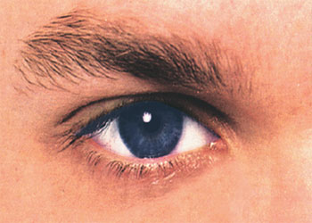 Bakmak fiili, Kur'an ve Risale-i Nur