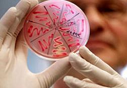 Çin'de kuş gribi tehdidi büyüyor