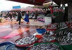 Soğuk hava balık fiyatlarını arttırdı