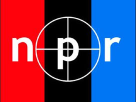 Amerikan NPR radyosunda Türkiye tartışıldı