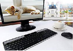 Masaüstü PC'lerin 10 katili!