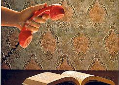 Görme engellilere özel ilan hazırlattı