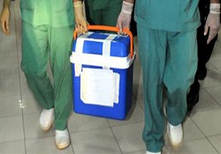 3 büyük kente yeni organ nakli merkezi