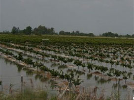Çin'de doğal felaketlerin bilançosu ağır