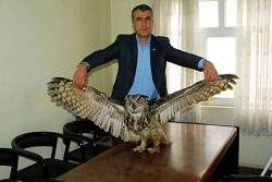 2,5 metrelik dev baykuş!