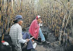 24 bin can alan gizemli hastalık