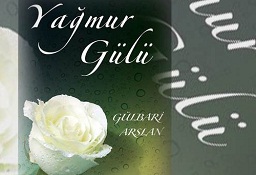 Genç şairden örnek proje