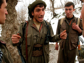 PKK'nın 'final yılı' planı!