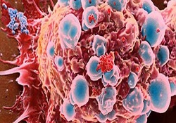 DNA robotları" geliştirildi
