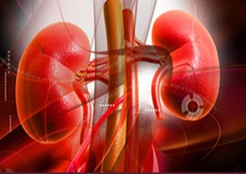 Türkiye'de 65 bin böbrek hastası var!