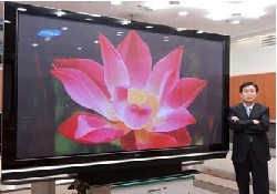 LCD üretimini bırakıyor