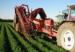 Tarımsal büyüme ekonominin lokomotifi oldu