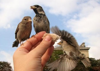Hiçbir canlı yoktur ki, rızkı Allah'a ait olmasın