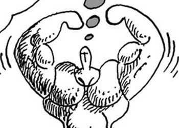 Büyüklük ve küçüklüğün ölçüsü-Karikatür