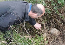Çanakkale'de yürek burkan görüntü