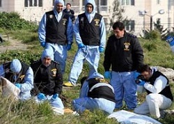 Terör örgütü bağlantılı hayalî ihracat vurgunu