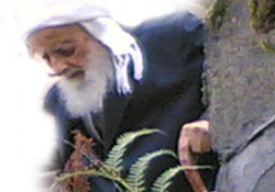 Of'un 'Oflu Hocaları' gerçekmiş!