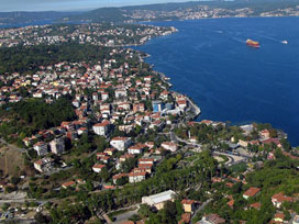 2-B ile İstanbul'a 990 hektar orman