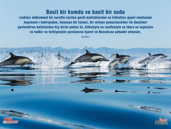 Risale-i Nur'dan vecizeli duvar kağıdı - [indir]