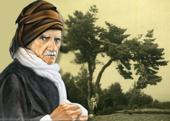 Bediüzzaman'ın Kastamonu'daki dikili ağacı