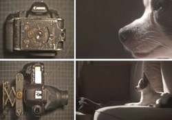Bir Asırlık Lensten Bu Fotoğraflar Çıktı!