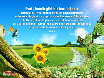 Risale-i Nur'dan vecizeli duvar kağıdı - [indir]