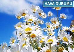 Havalar nasıl olacak?