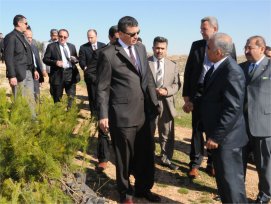 Urfa'nın etrafı ağaçlanıyor