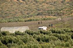 Ambulanslar Suriye sınırından yaralı taşıyor