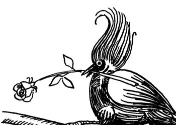 Gül ve çiçeklerin yüzlerini güzelleştiren zat