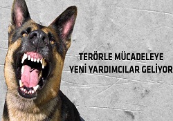 Hepsi özel olarak yetiştirildi