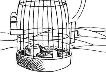 Ekmeksiz yaşarım, hürriyetsiz yaşayamam