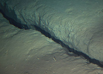 Depremle deniz 400 km yarılmış