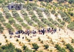 Suriye'den Ürdün'e kaçanlar 100 bin oldu