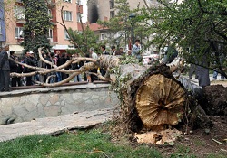 İşte Ankara'daki fırtınanın bilançosu