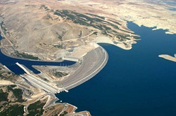 GAP çiftçisi alternatif ürünlere yöneliyor