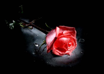 Güzel ahlaktan ağır basan bir şey yoktur