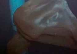 Okyanustaki gizemli canlı