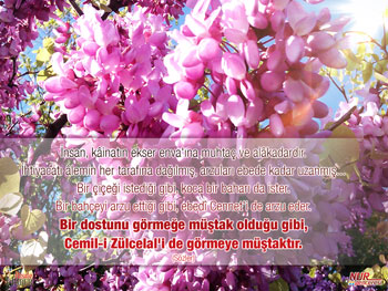 Risale-i Nur'dan vecizeli duvar kağıdı - [indir]