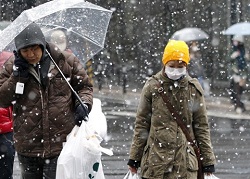Japonya'da Mayıs Ortasında Kar Sürprizi