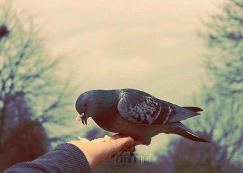 Sadaka veren erkeklerle kadınlar var ya