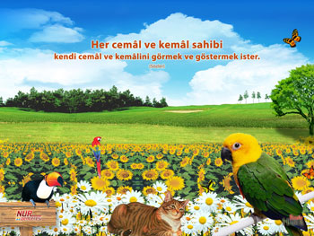 Risale-i Nur'dan vecizeli duvar kağıdı - [indir]