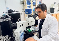 Gıdalardaki jelatinin menşeini DNA kodlarını çözerek buldu