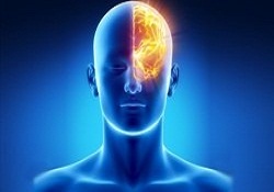 Rus bilim adamları insan beynini onaran ilaç üretti