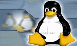 Linux'a dev destek